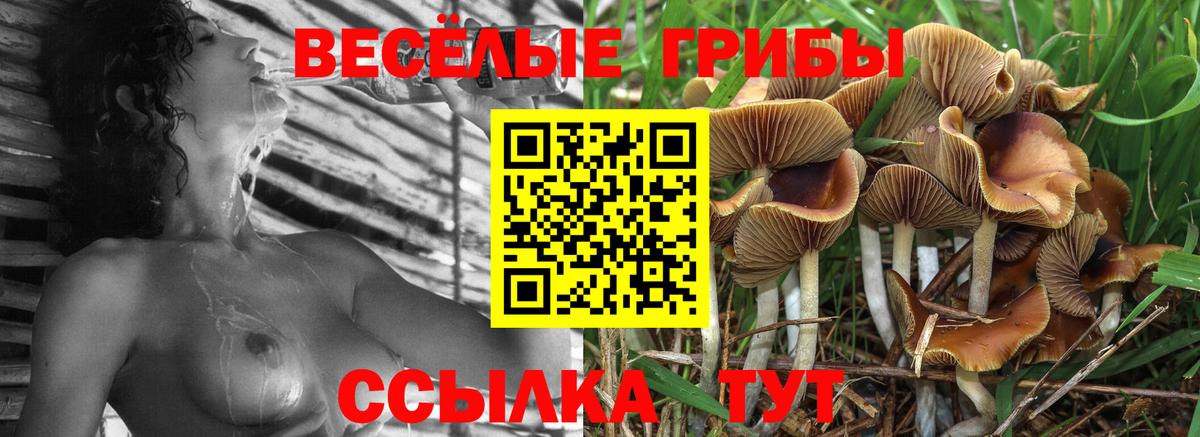 Псилоцибиновые грибы мицелий Истра